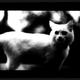 Illustration for article titled The Evil Magic Of Cats, Caught On Film